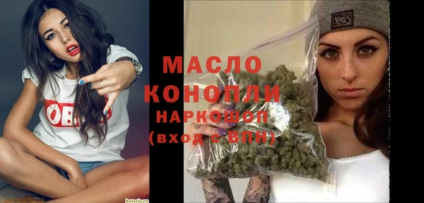 apvp Бородино