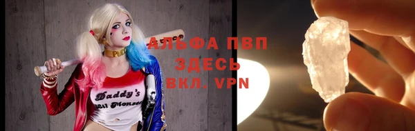 apvp Бородино