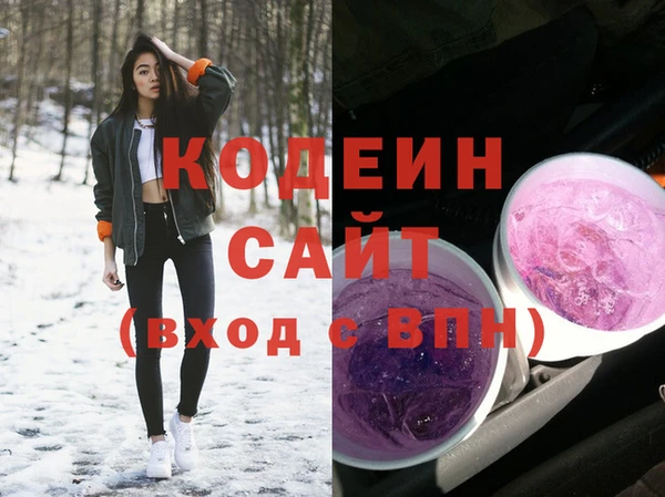 apvp Бородино