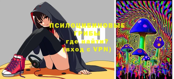 apvp Бородино
