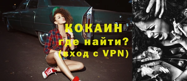 apvp Бородино
